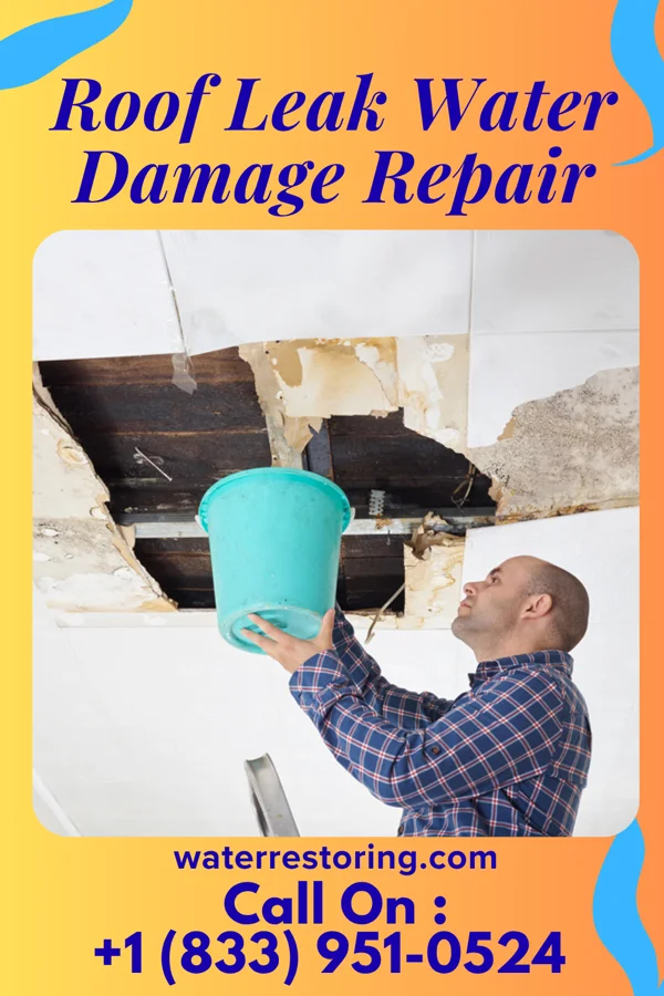 Roof Leak Water Damage Repair in Town and Country, WA