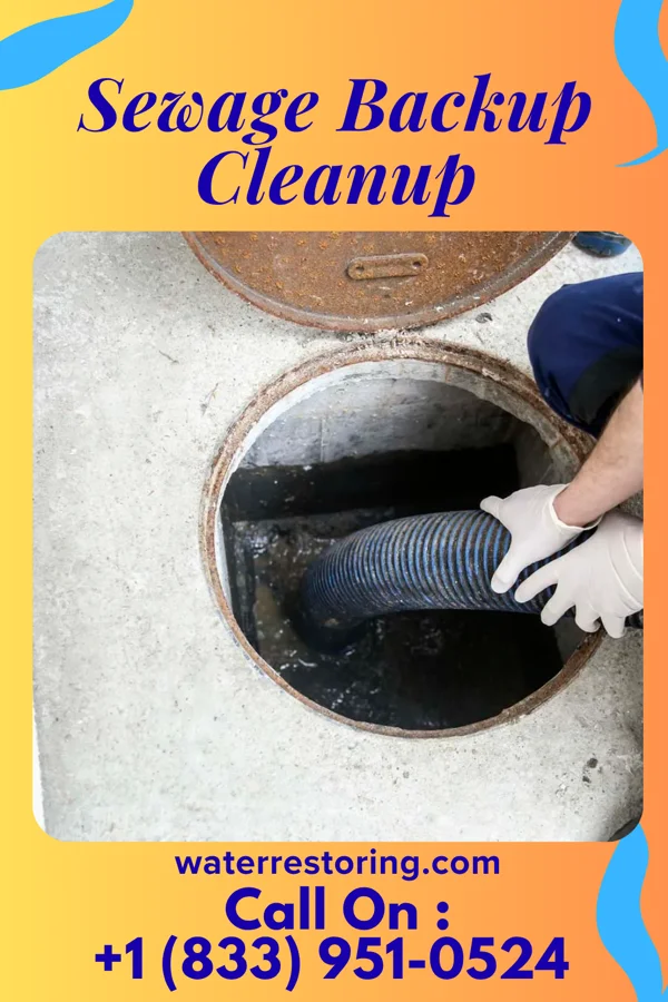 Sewage Backup Cleanup in Town and Country, WA